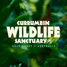 Currumbin Wildlife sanctuary poster