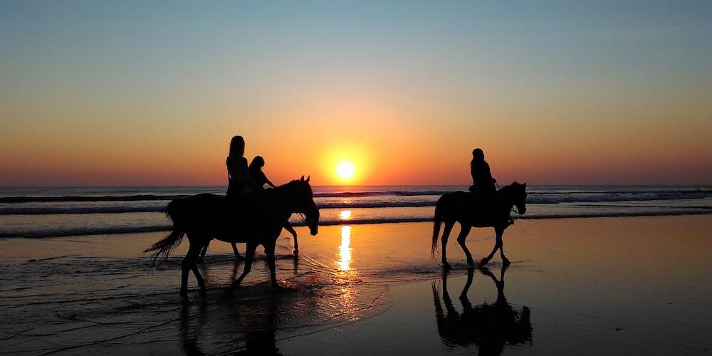 Kids horse riding at the sunset 