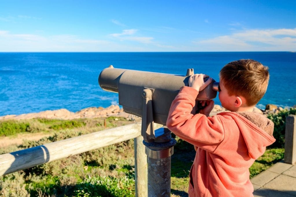 A kid watching whale through telescope